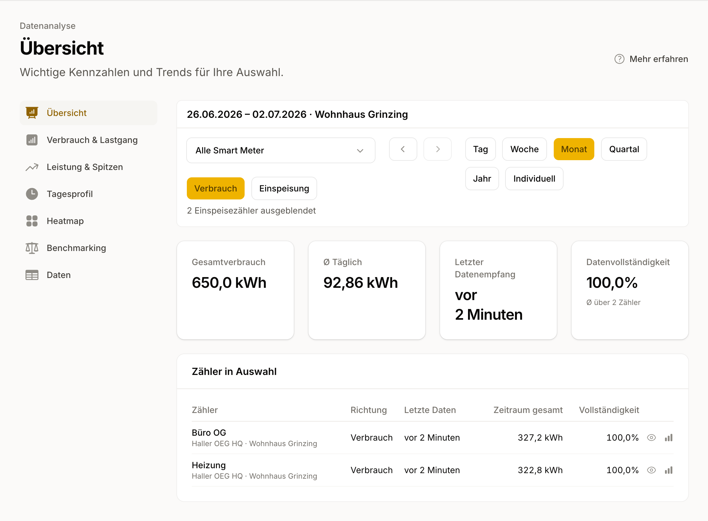 Kennzahlen-Überblick für einen einzelnen Kunden: Gesamtverbrauch, Tagesdurchschnitt und Datenvollständigkeit, darunter die einzelnen Zähler der Auswahl.